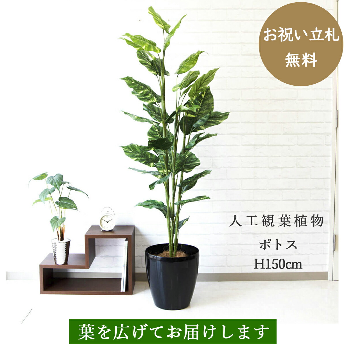 楽天市場 人工観葉植物 フェイクグリーン ポトス H150cm お祝い立札無料 観葉植物 フェイク おしゃれ アーティフィシャルグリーン 観葉樹木グリーン 人工樹木 インテリア フロアサイズ 新築祝い 住宅展示場 開業祝い 店舗装飾 Pg101 ポトス H150cm ポリプロピレン鉢