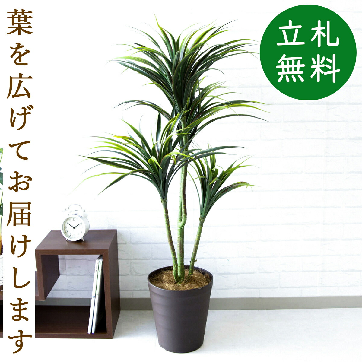 人工観葉植物 フェイクグリーン ユッカ H約115cm お祝い立札無料 観葉植物 フェイク おしゃれ アーティフィシャルグリーン 観葉樹木グリーン 人工樹木 インテリア 新築祝い 住宅展示場 開業祝い 店舗装飾 Pg103 B240br ユッカツリー H約115cm ポリプロピレン鉢