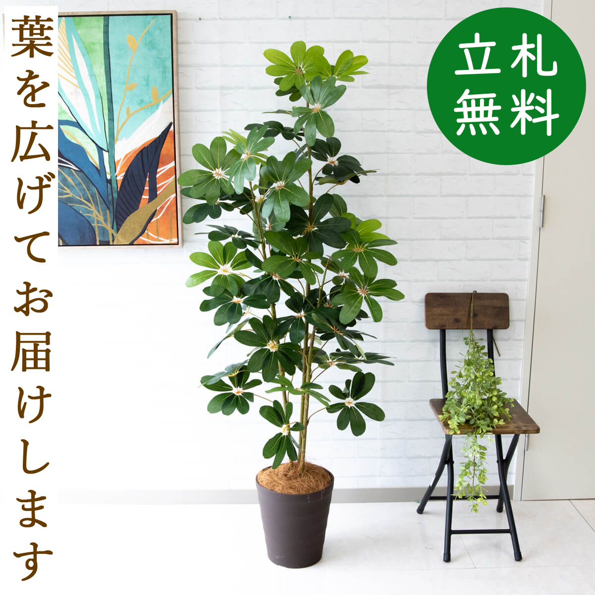 楽天市場】人工観葉植物 フェイクグリーン ユッカ H約155cm [お祝い