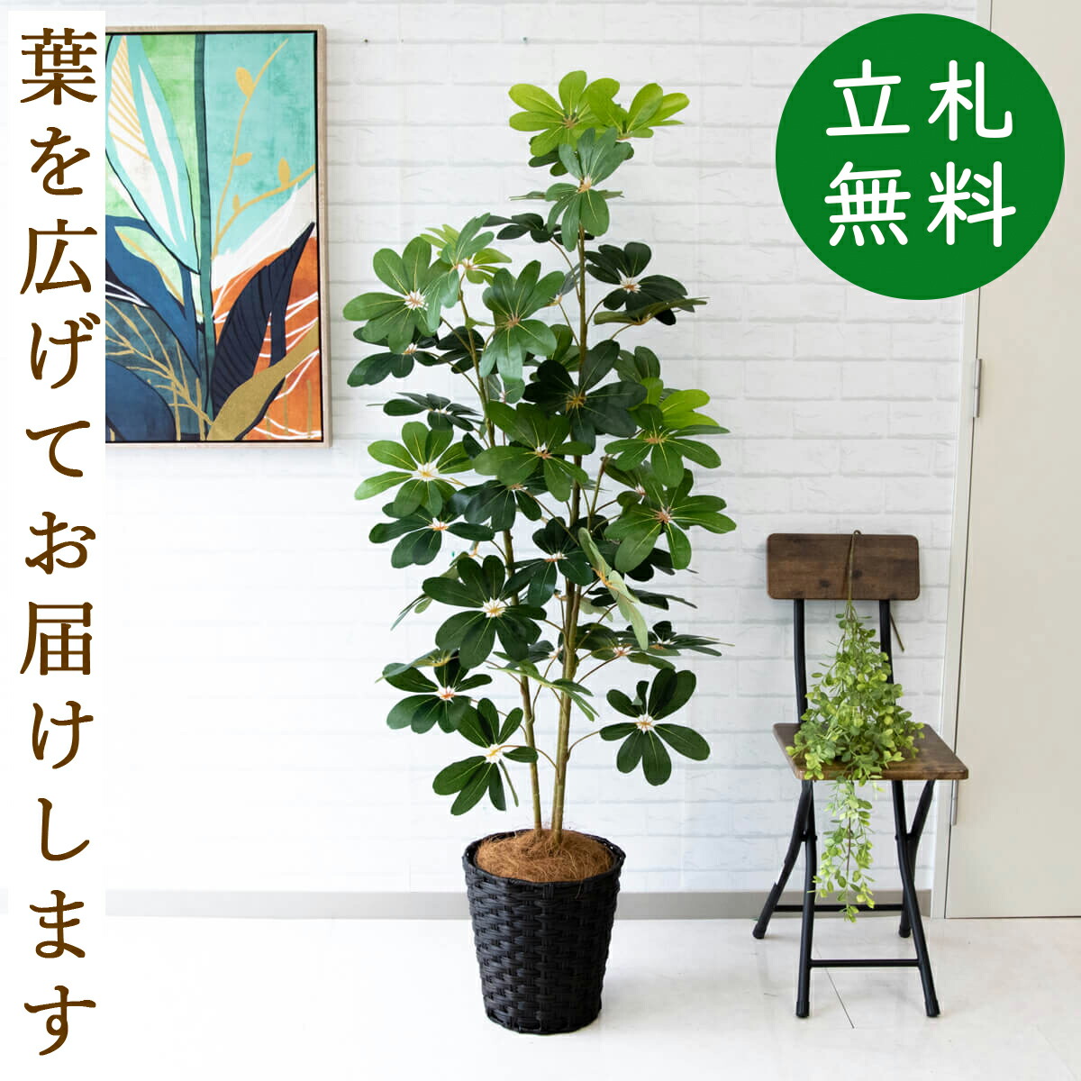 光触媒 人工観葉植物 ウォールグリーン フェイクグリーン スマイラックスz-