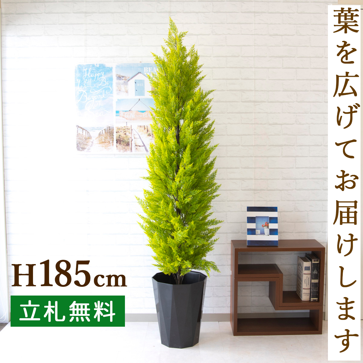 人工観葉植物 フェイクグリーン 大型 ゴールドクレストh約185cm お祝い立札無料 観葉植物 フェイク おしゃれ アーティフィシャルグリーン 観葉樹木 人工樹木 インテリア 住宅展示場 開業祝い Pg139 C300bk ゴールドクレスト H約185cm ポリプロピレン鉢 Psicologosancora Es