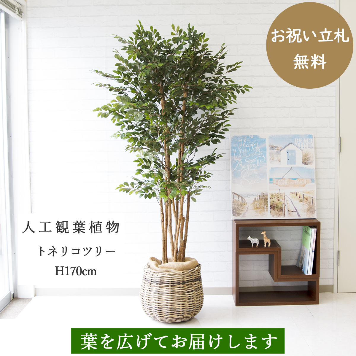 楽天市場 人工観葉植物 フェイクグリーン 大型 トネリコツリー H170cm お祝い立札無料 観葉植物 フェイク おしゃれ アーティフィシャルグリーン 観葉樹木 人工樹木 インテリア フロアサイズ 新築祝い 住宅展示場 開業祝い Pg146 8 トネリコツリー H約170cm ラタン