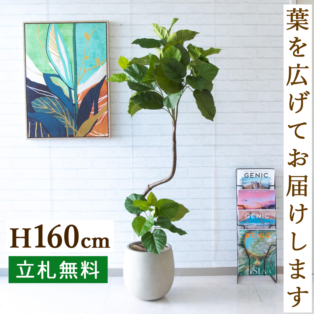 楽天市場】人工観葉植物 フェイクグリーン トネリコツリー H約170cm