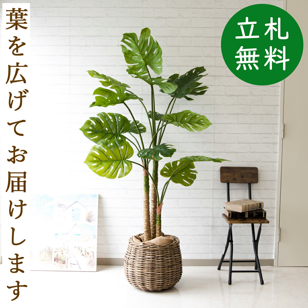 楽天市場 人工観葉植物 フェイクグリーン モンステラ H160cm お祝い立札無料 観葉植物 フェイク おしゃれ アーティフィシャルグリーン 観葉樹木 人工樹木 インテリア フロアサイズ 新築祝い 住宅展示場 オフィス 開業祝い Pg157 8 モンステラ H約160cm ラタン鉢