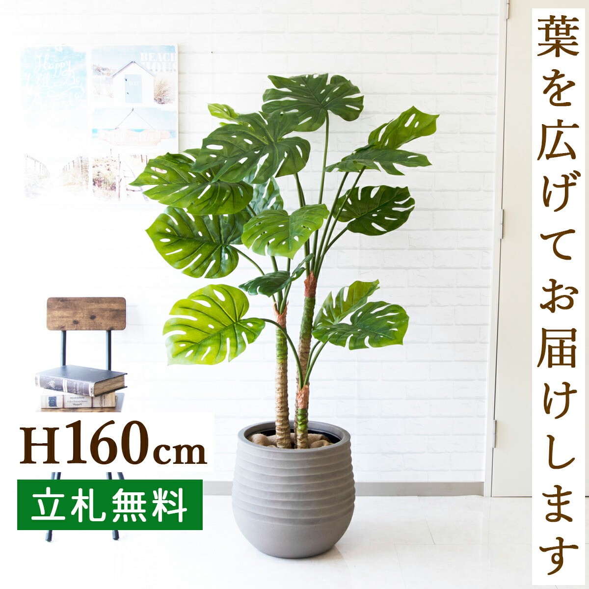 楽天市場 人工観葉植物 フェイクグリーン モンステラ H約160cm お祝い立札無料 観葉植物 フェイク おしゃれ アーティフィシャルグリーン 観葉樹木 人工樹木 インテリア フロアサイズ 新築祝い 住宅展示場 オフィス 開業祝い 店舗装飾 Pg157 J40 モンステラ H約160cm