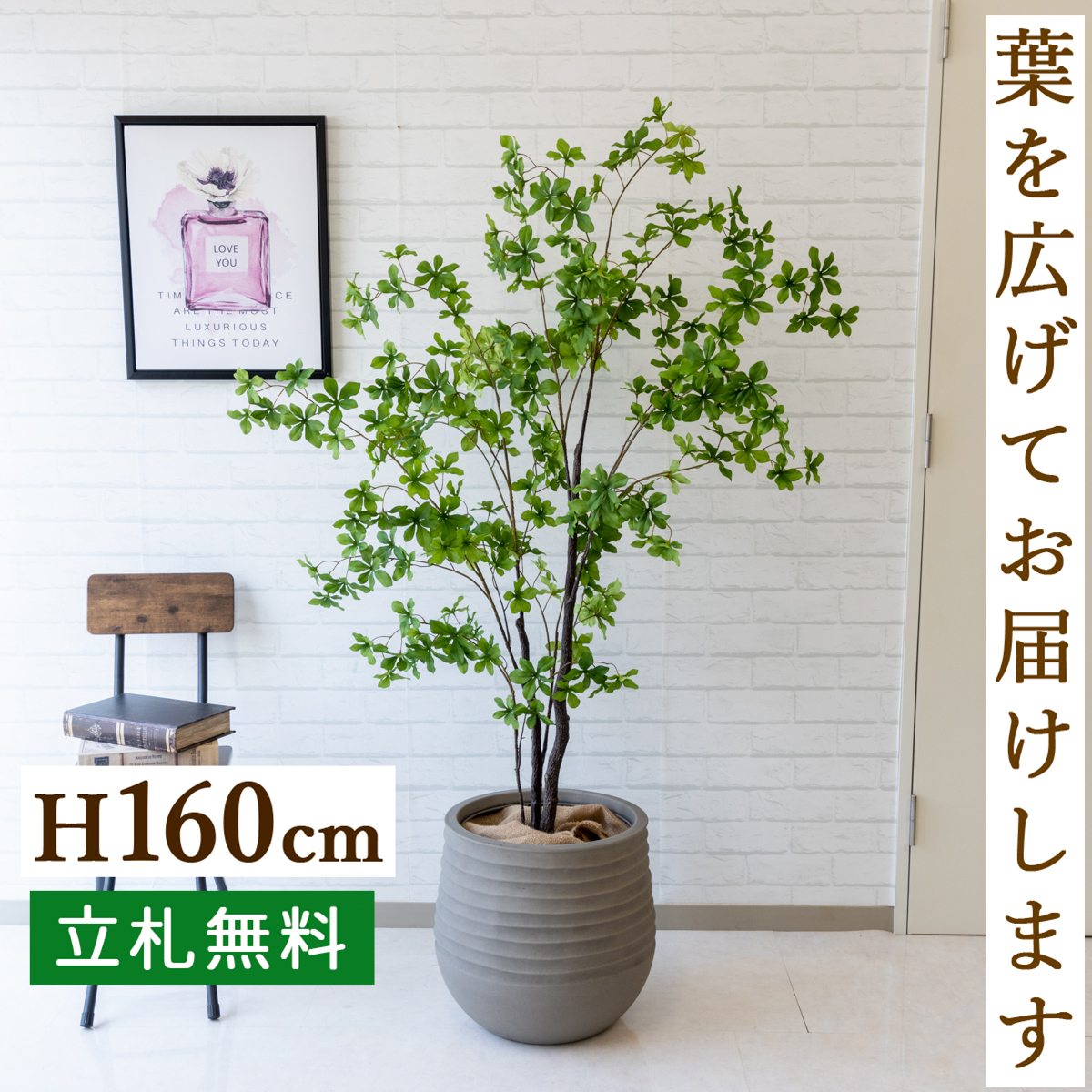 楽天市場】人工観葉植物 フェイクグリーン トネリコツリー H約170cm