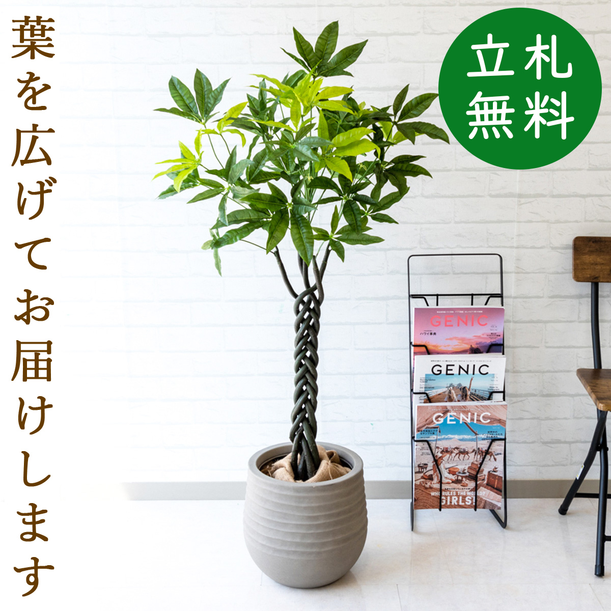 楽天市場 人工観葉植物 フェイクグリーン パキラ H約125cm お祝い立札無料 観葉植物 フェイク おしゃれ アーティフィシャルグリーン 観葉樹木 人工樹木 インテリア フロアサイズ 新築祝い 住宅展示場 オフィス 開業祝い 店舗装飾 お祝い Pg160 J30 パキラ H約125cm