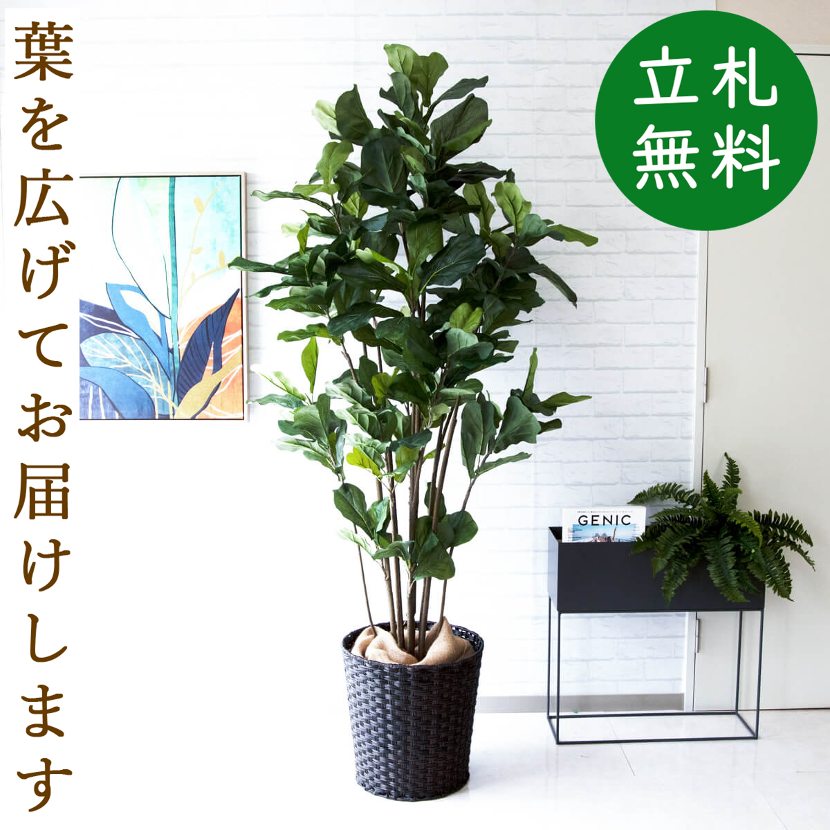 高評価のクリスマスプレゼント 人工観葉植物 フェイクグリーン ウンベラータ H約185cm 観葉植物 おしゃれ アーティフィシャルグリーン 観葉樹木グリーン  人工樹木 インテリア 住宅展示場 開業祝い fucoa.cl