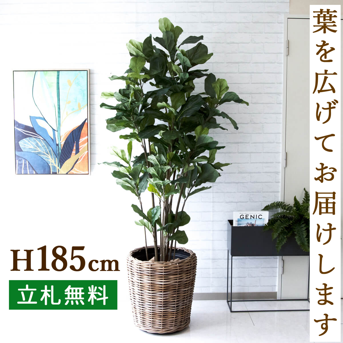 21a W新作 送料無料 人工観葉植物 フェイクグリーン ウンベラータ H約185cm 観葉植物 おしゃれ アーティフィシャルグリーン 観葉樹木グリーン 人工樹木 インテリア 住宅展示場 開業祝い Fucoa Cl