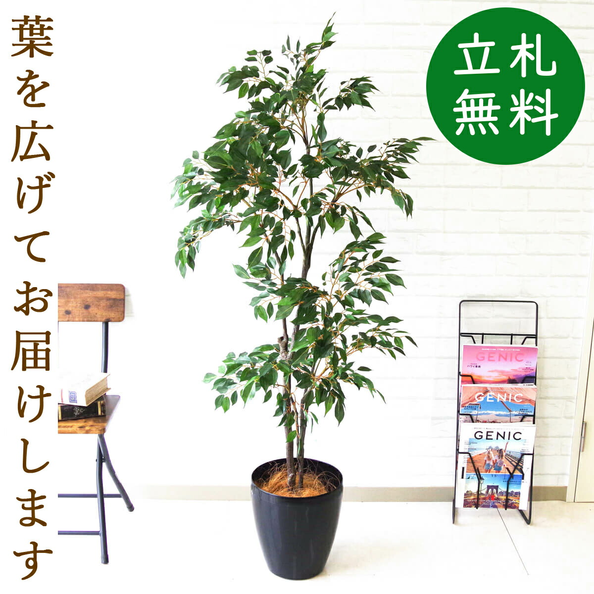 楽天市場 人工観葉植物 フェイクグリーン フィカスベンジャミン H約150cm お祝い立札無料 観葉植物 フェイク おしゃれ アーティフィシャルグリーン 観葉樹木 人工樹木 インテリア 新築祝い 住宅展示場 開業祝い Pg171 65bk フィカスベンジャミン H約150cm