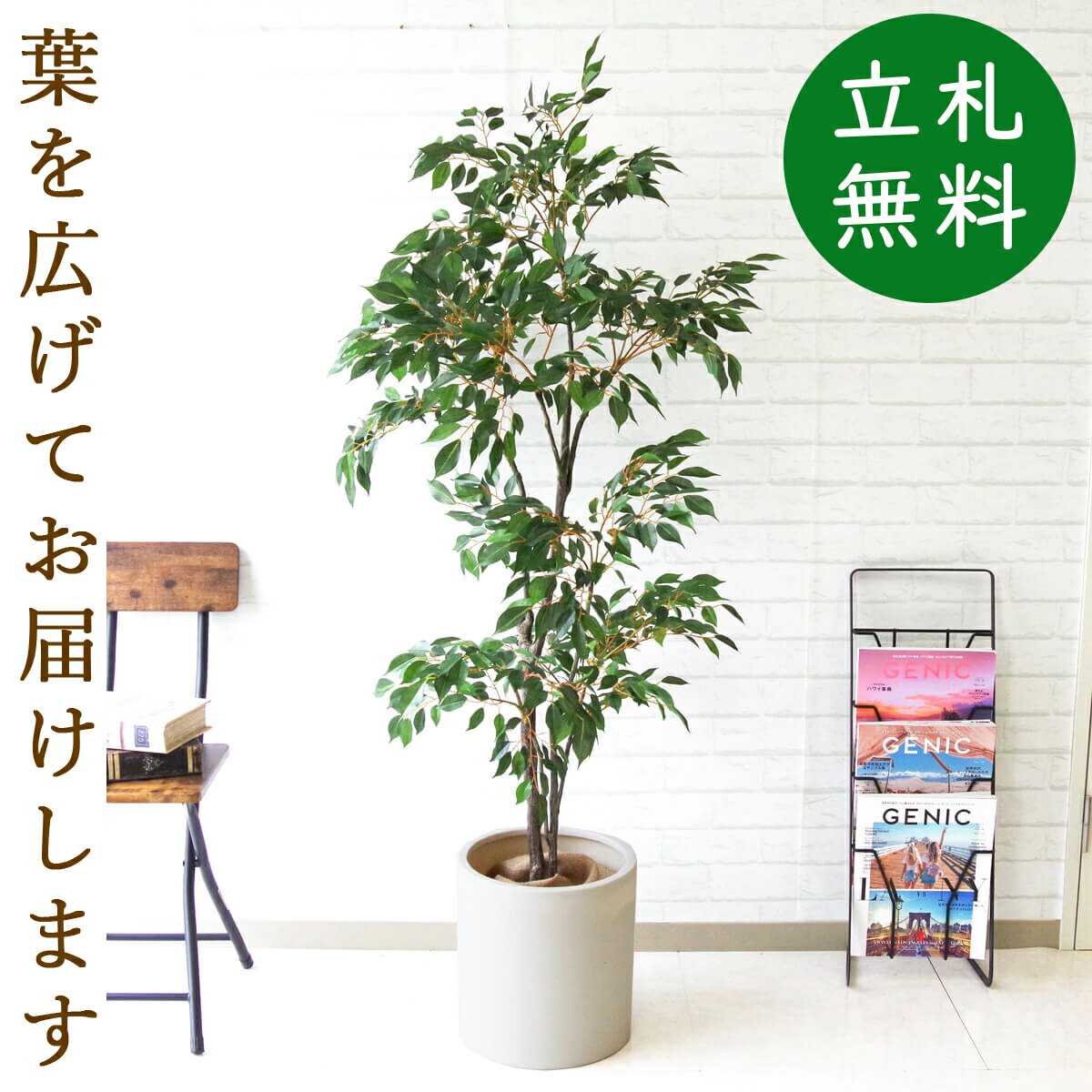 人工観葉植物 フェイクグリーン 大型 フィカスベンジャミン H150cm お祝い立札無料 観葉植物 フェイク おしゃれ アーティフィシャルグリーン 観葉樹木 人工樹木 インテリア 新築祝い 住宅展示場 開業祝い Pg171 H29 フィカスベンジャミン H150cm ポリストーン鉢 人工観葉