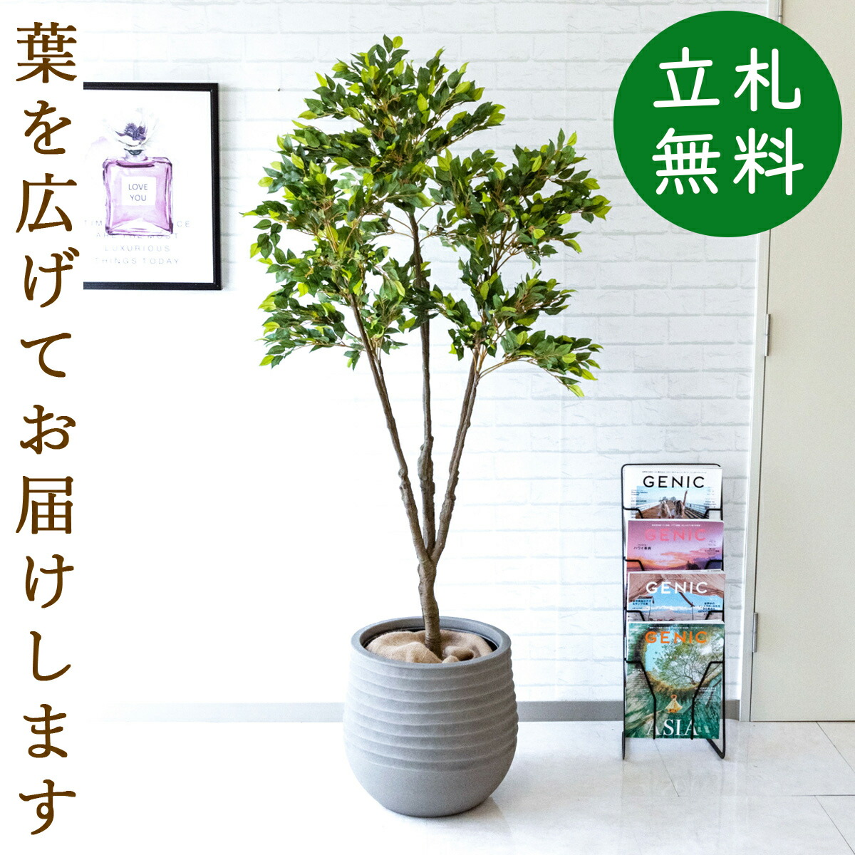 人工観葉植物 フェイクグリーン 新緑ベンジャミン H約165cm お祝い立札無料 観葉植物 フェイク おしゃれ アーティフィシャルグリーン 観葉樹木 人工樹木 インテリア 住宅展示場 オフィス 開業祝い 店舗装飾 お祝い Pg187 J40 新緑ベンジャミン H約165cm Frp鉢