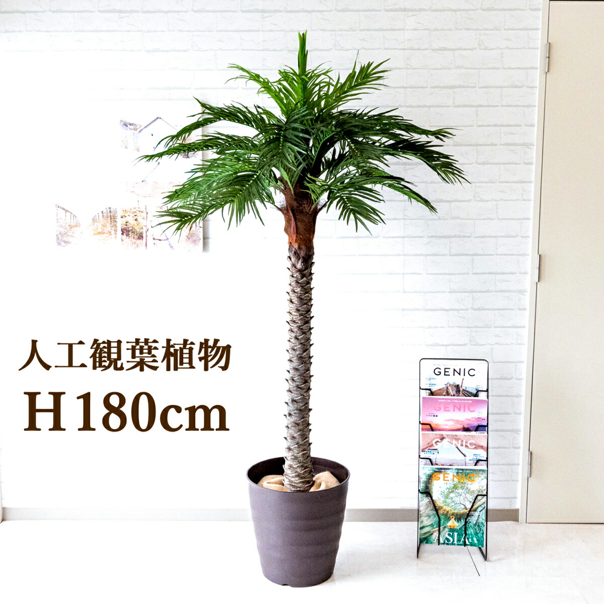 人工観葉草木 贋作グリーン アリゾナ州の州都椰子 H凡180cm お喜び事立札無料 観葉植物 フェイク スマート アーティフィシャルグリーン 観葉四阿 人工樹木 家什 家曝すか所 事務所 開業祝い Pg1 M36db フェニックスヤシ H約180cm ポリプロピレン野ざらし Springraise Org