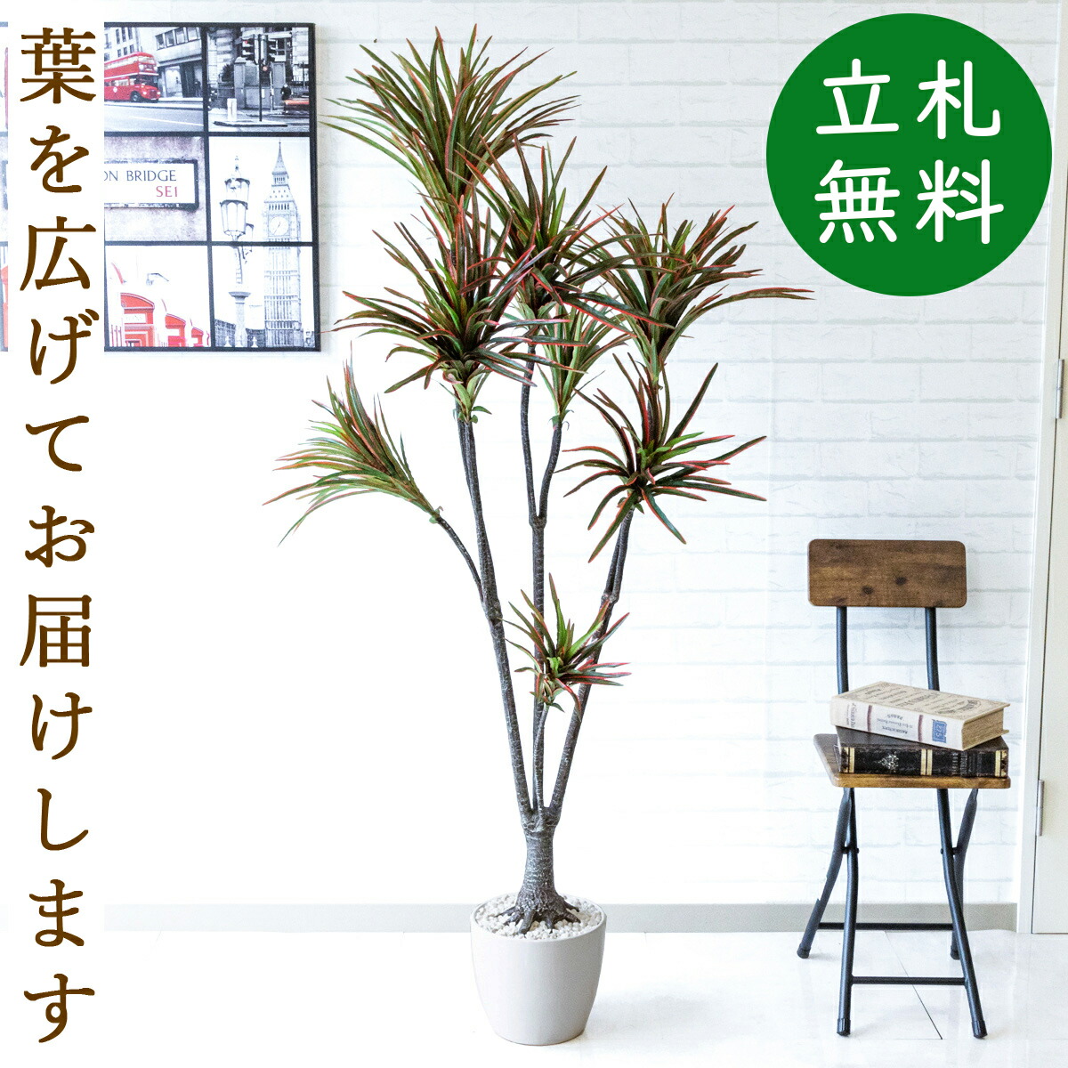 人工観葉植物 フェイクグリーン ドラセナコンシナレッドグリーン H約155cm お祝い立札無料 観葉植物 フェイク おしゃれ アーティフィシャルグリーン 観葉樹木 人工樹木 インテリア 住宅展示場 開業祝い Pg191 ドラセナコンシナレッドグリーン H約155cm 陶器鉢 Ice Org Br 人工観葉植物 フェイクグリーン ドラセナコンシナレッドグリーン H約155cm お祝い立札無料 観葉植物 フェイク おしゃれ アーティフィシャルグリーン 観葉樹木 人工樹木 インテリア 住宅展示場 開業祝い Pg191 ドラセナコンシナレッドグリーン H約155cm 陶器鉢 Ice Org Br