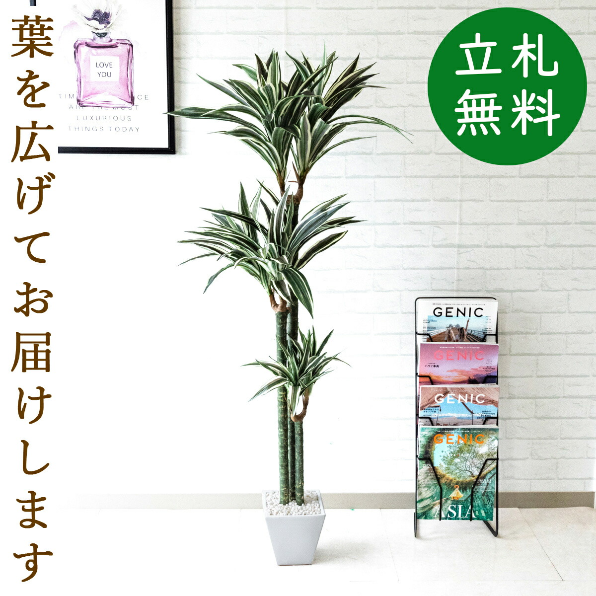 人工観葉植物 フェイクグリーン ドラセナトランク H約140cm お祝い立札無料 観葉植物 フェイク おしゃれ アーティフィシャルグリーン 観葉樹木 人工樹木 インテリア 住宅展示場 オフィス 開業祝い 店舗装飾 お祝い Pg193 ドラセナトランク H約140cm 陶器鉢 Ice Org Br