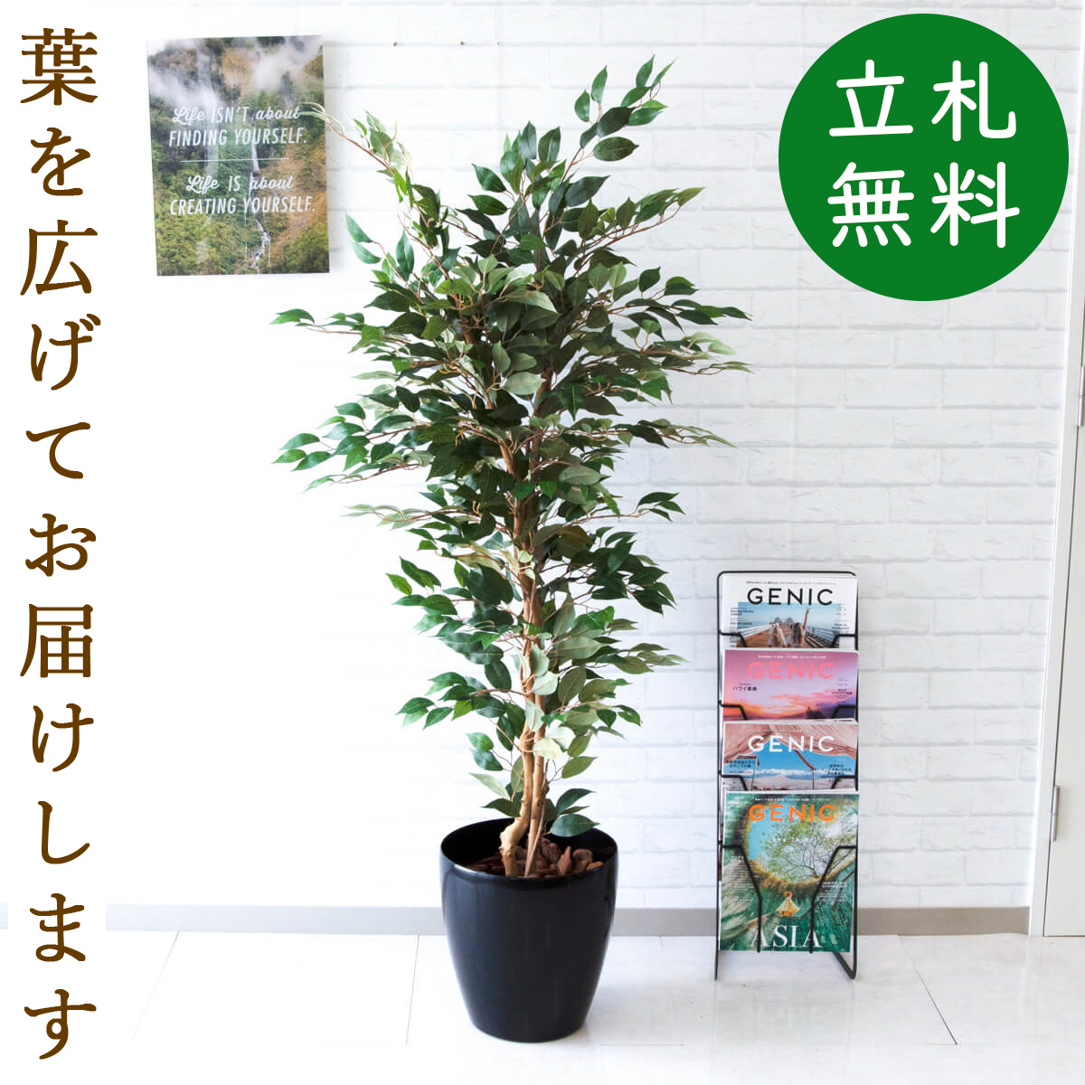 楽天市場】人工観葉植物 フェイクグリーン トネリコツリー H約170cm