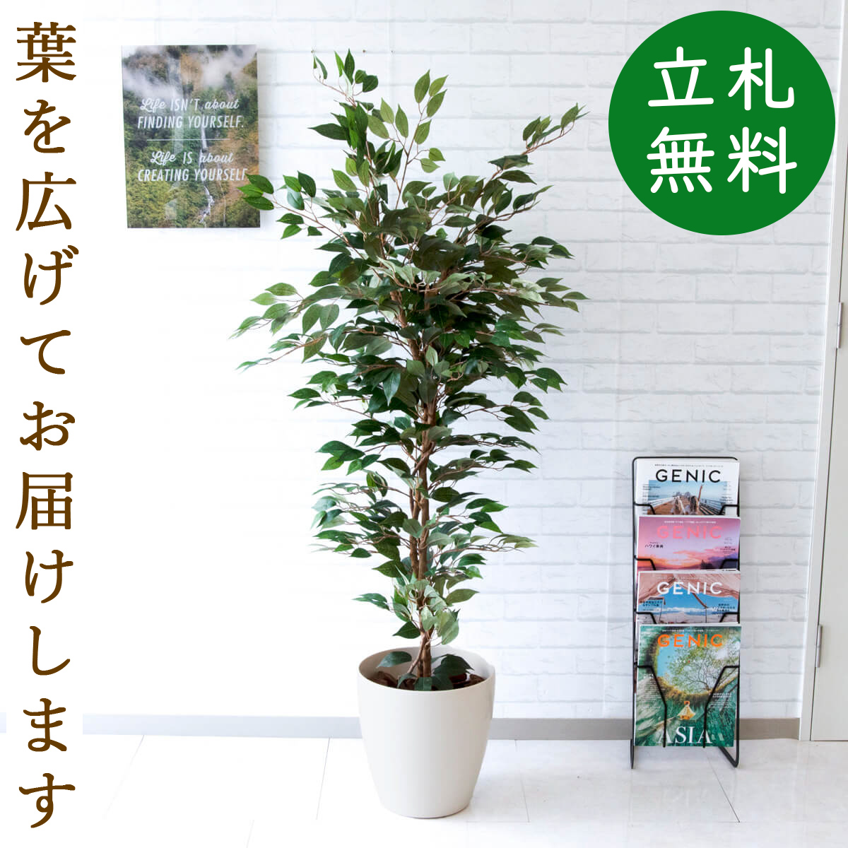 楽天市場】人工観葉植物 フェイクグリーン トネリコツリー H約170cm