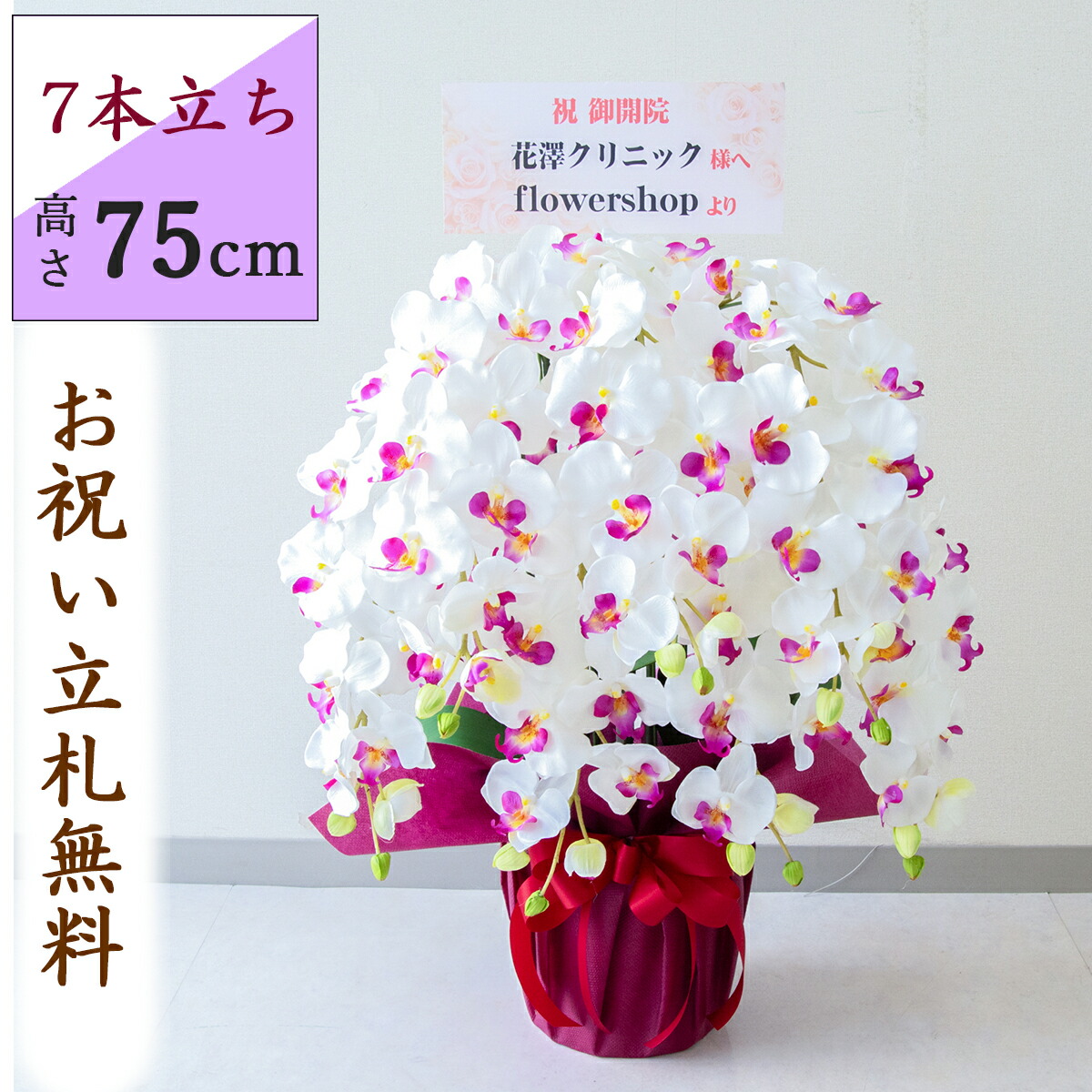 胡蝶蘭様 配達地域限定】胡蝶蘭7本立ち プレミアム ｜ お花ドットコム