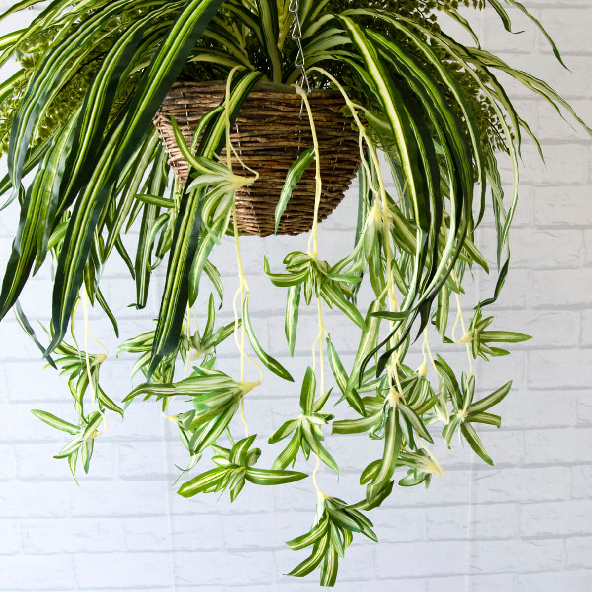 観葉植物 吊り下げ ハンギング フェイクグリーン 吊り鉢 バスケット グリーン アレンジメント インテリア Pwa013 Hangbsk2 フェイクグリーンハンギングバスケット スパイダープラントアジアンタム 大きめサイズ バスケット吊りカゴ septicin Com