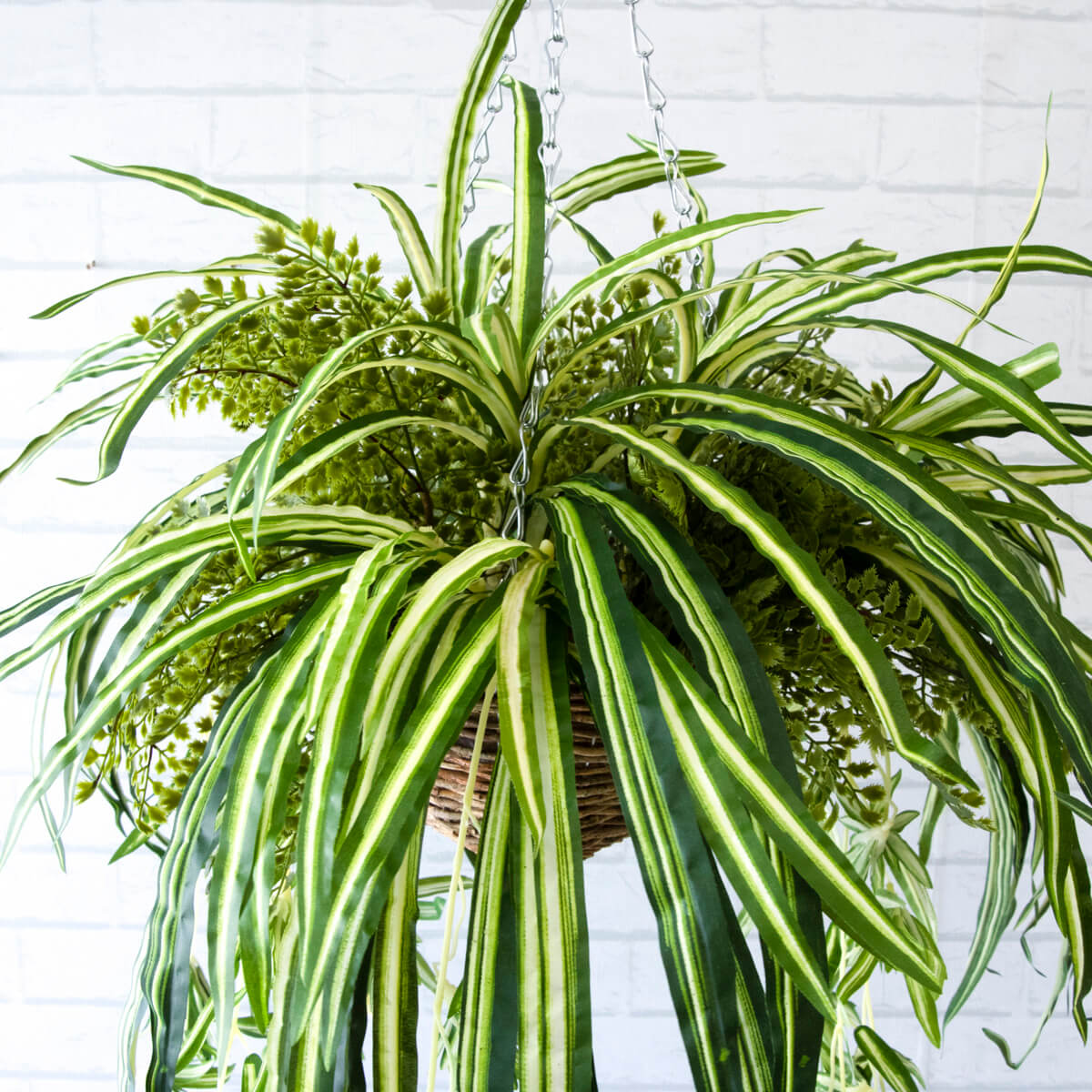 観葉植物 吊り下げ ハンギング フェイクグリーン 吊り鉢 バスケット グリーン アレンジメント インテリア Pwa013 Hangbsk2 フェイクグリーンハンギングバスケット スパイダープラントアジアンタム 大きめサイズ バスケット吊りカゴ septicin Com