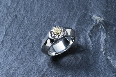 ファーストアローズ　リング　17号 楽天市場】ポイント2倍!!ファーストアローズ ALL-K18 フェザーリング L