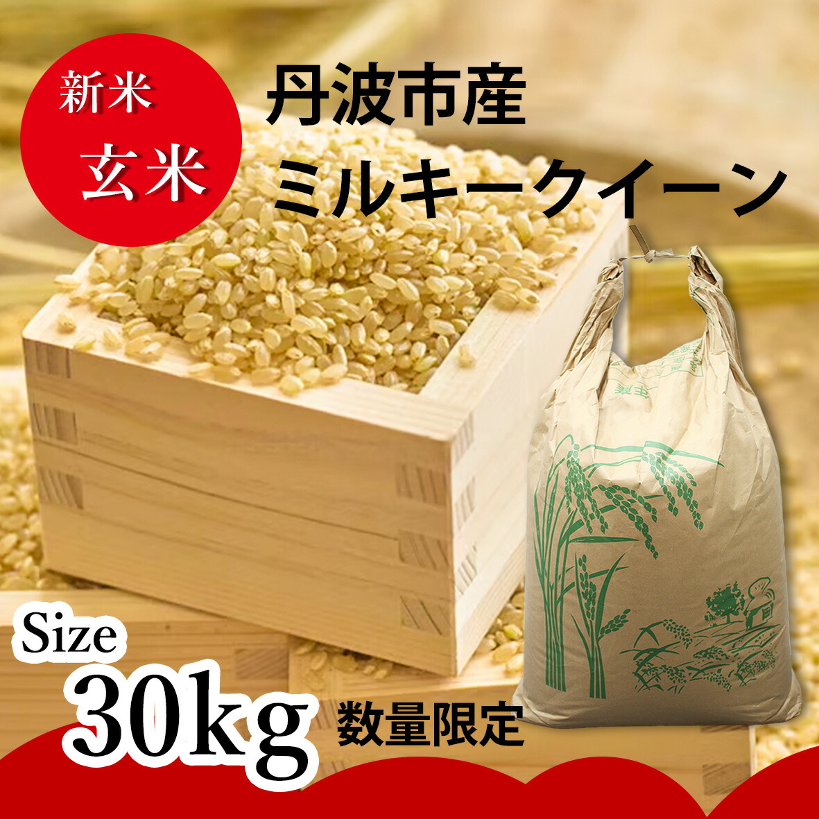 daina 令和5年　愛媛県産ヒノヒカリ　玄米　30㎏ ぷぷ お米 H30 愛媛県産ヒノヒカリ 玄米 30㎏×3袋 ヒノヒカリ 玄米