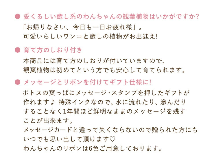 あす楽 14時まで わんわん ポトス 鉢植え 観葉植物 鉢花 ギフト 誕生日 お祝い プレゼント 東北 関西送料無料 花 ギフト フラワーギフト 花のギフト社 Crunchusers Com
