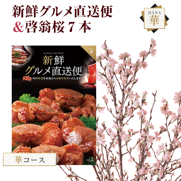 楽天市場 あす楽 14時まで 啓翁桜 さくら 桜 12本 花束 切花 生花 サクラ けいおうざくら 花 桜のお花 正月桜 フラワーギフト お歳暮 正月 迎春 お正月 誕生日 お祝い 送別会 花ギフト プレゼント お花見 山形 寒河江 けいおう桜 花のギフト社onlineshop