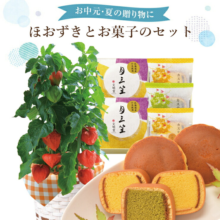 あす楽 14時まで カステラ巻 どら焼き ほおずきの鉢植え ほおずき鉢植え文明堂詰合セット 鉢植え ホオズキ鉢植え ほおずき