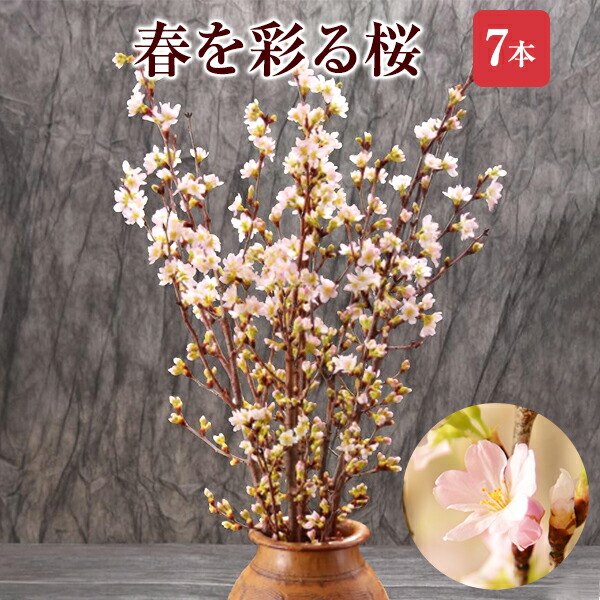 楽天市場 あす楽 14時まで さくら 桜 7本 花束 切花 生花 サクラ 花 桜のお花 正月桜 フラワーギフト お歳暮 正月 迎春 お正月 誕生日 お祝い 送別会 花ギフト プレゼント お花見 山形 寒河江 花のギフト社onlineshop