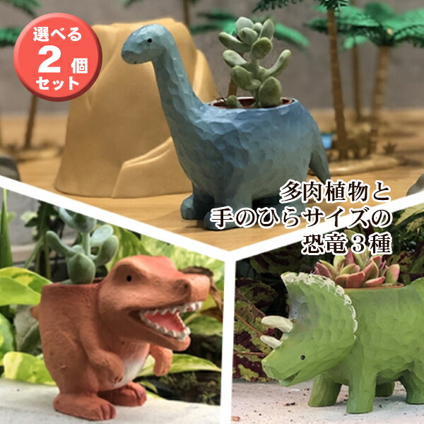 【希少一点物】最終価格　トリケラトプスの壁掛け ベイブレードX】BX-44 トリケラプレスM-85BS 発売前情報