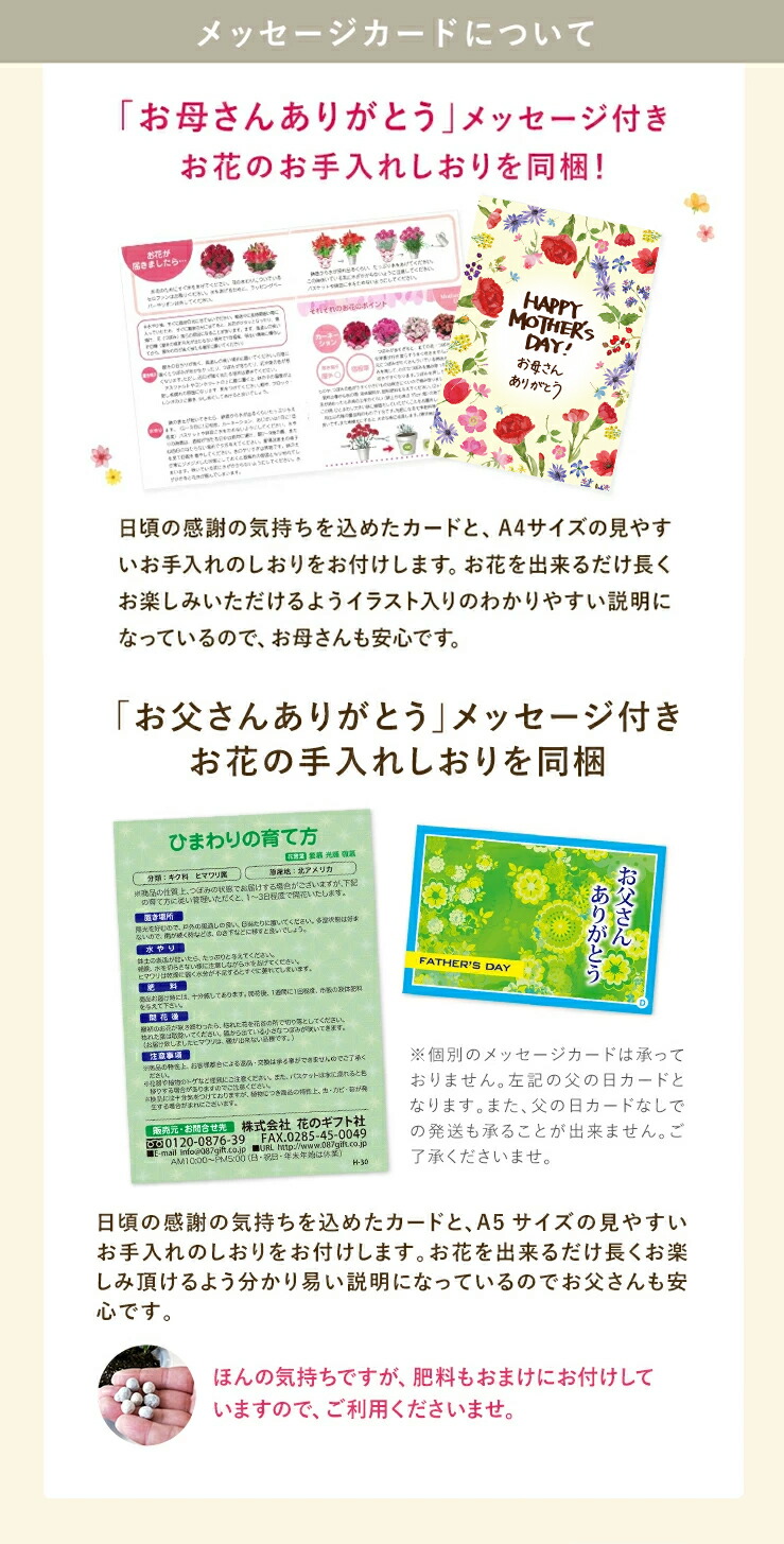 父の日 旬の味覚を産地からお取り寄せ 受け取った方が選べるカタログギフトと母の日のお花カーネーション鉢植えをセット カーネーション 花鉢 カタログギフト プレゼント 花 母の日 東北 関東 関西送料無料 ギフト 父の日 5号鉢 新鮮グルメ直送便 父の日 鉢植え 父の日 旬の味覚を産地からお取り寄せ 受け取った方が選べるカタログギフトと母の日のお花カーネーション鉢植えをセット カーネーション 花鉢 カタログギフト プレゼント 花 母の日 東北 関東 関西送料無料 ギフト 父の日 5号鉢 新鮮グルメ直送便 父の日 鉢植え