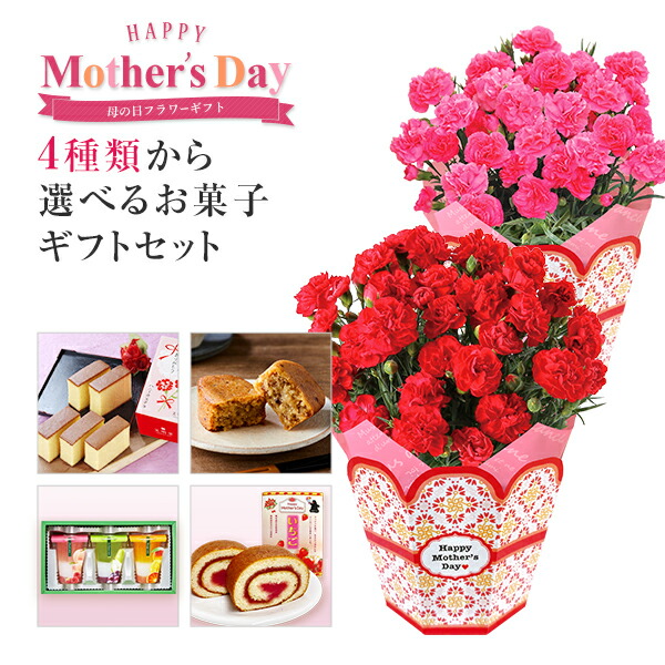 楽天市場 早割 10 Off 母の日 ギフト プレゼント 花とスイーツ セット 花 カーネーション 鉢植え 4種から選べるお菓子 文明堂 カステラ いもくり ジュレ パフェ 苺 ロールケーキ 東北 関東 関西送料無料 母の日プレゼント 鉢花 花鉢 花のギフト社onlineshop 楽天市場 早割 10 Off 母の日 ギフト プレゼント 花とスイーツ セット 花 カーネーション 鉢植え 4種から選べるお菓子 文明堂 カステラ いもくり ジュレ パフェ 苺 ロールケーキ 東北 関東 関西送料無料 母の日プレゼント 鉢花 花鉢 花のギフト社onlineshop