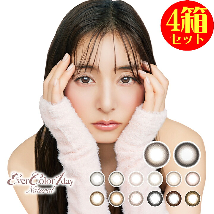 カラコン 4箱セット エバーカラーワンデーナチュラル DIA 14.5 1箱20枚 1day 1日使い捨て ナチュラル ever color 1day Natural バレにくい ハーフ あか抜け カラー コンタクトレンズ