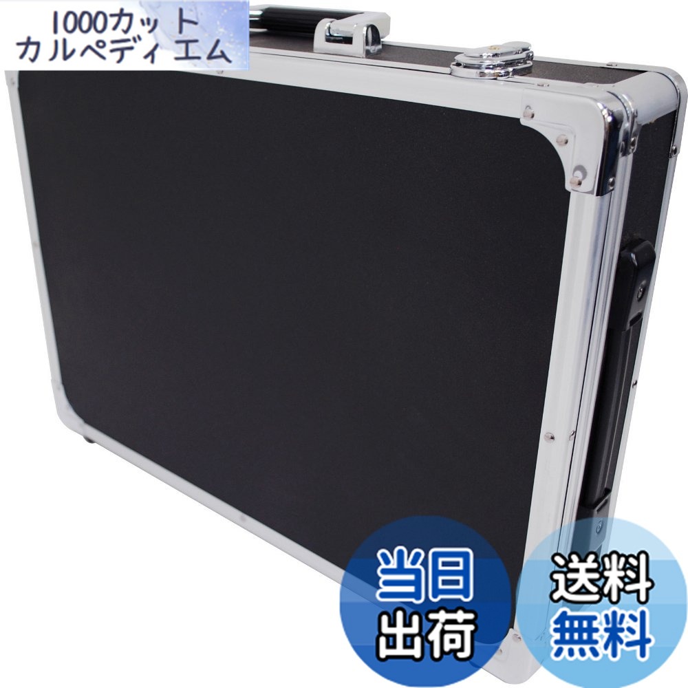 【送料無料】KC エフェクターケース EC-65/BK ブラック (内寸 495 x 350 x 65+20mm)