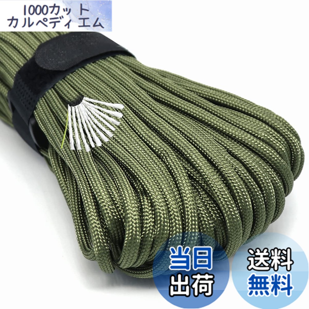 楽天市場】【送料無料】PSKOOK パラコード 4mm テントロープ ガイロープ ロープ コード 12芯 耐荷重550lb（約250kg） ナイロン 糸11本+ナイロンアクアグリーン透明釣り糸1本 キャンプ パラシュートコード ブレスレット 31m アーミーグリーン : iinos 楽天市場店