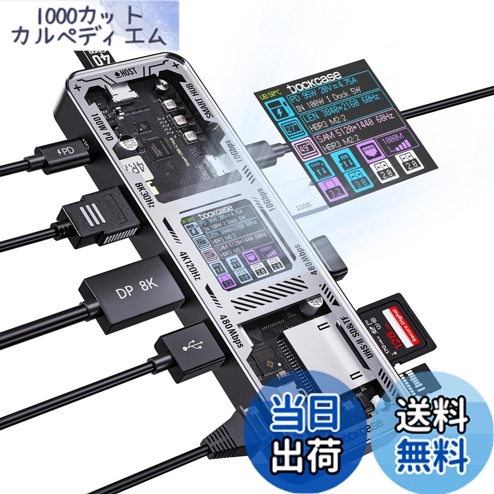 【送料無料】DOCKCASE 10-in-1 usb c ハブ スケルトン設計、4K@60Hz HDMI＆DP、Gigabit Ethernet、USB-CとUSB-A 10Gbpsデータポート搭載、100w PD急速充電、UHS-II TF/SDスロット MacBook Air/Pro, XPSなど対応 (Black)｜1000カットカルペディエム