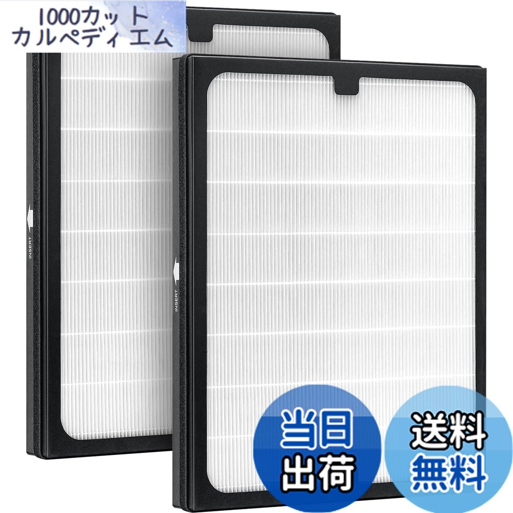 【送料無料】空気清浄機 Classic 200/300シリーズ交換用フィルター【2枚入】ダストフィルター 花粉対策・抗菌・脱臭・タバコ・HEPA集じん・ホコリ対策 対応機種 Blueair 290i / 280i / 205 / 250E / 270E / 270E Slimと互換性のあるフィルター F200300PA [並行輸入品]