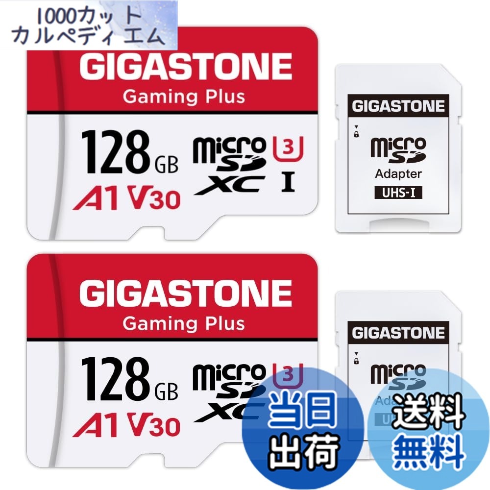 【貨物輸送無料】GIGASTONE マイクロsd歌留多 128GB 2個仕掛ける, SDアダプター2個付 ミニ納める入れもの2個付, 4K UHD画像 100MB/S 弾丸道路 MicroSDXC, UHS-I A1 V30 U3 Class 10