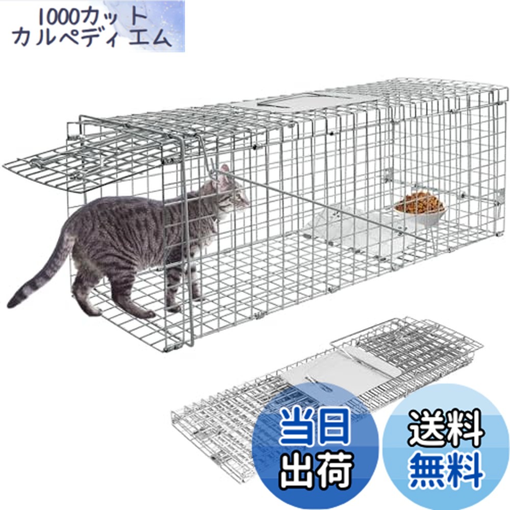 楽天市場】丸十金網株式会社 猫の保護器 【丸十金網 猫の保護器 ネコ