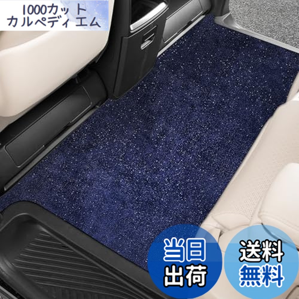 【送料無料】Fucaten 適合 トヨタ アルファード ヴェルファイア 40系 (2023年~)ステップマット エントランスマット ドレスアップ 車用 4Pcsセット|1000カットカルペディエム