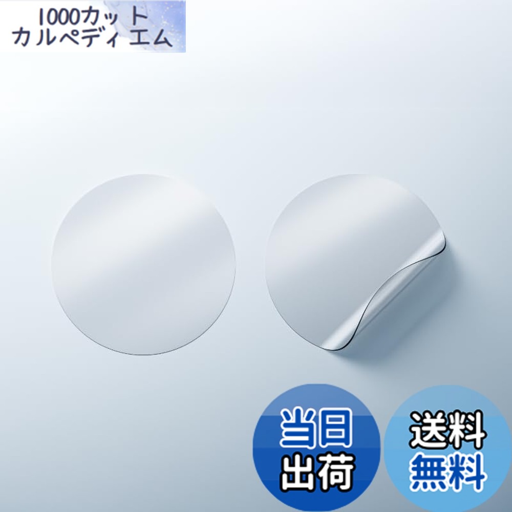【貨物輸送無料】【日本製 500枚 円型】WelPrint 耳つぼ宝飾品に使える 肌用判子 澄み切ったせつ然たる判子 国産 粒皆無 おまけ付き添い人 穴あり手合い 色：空蝉引っ敷き