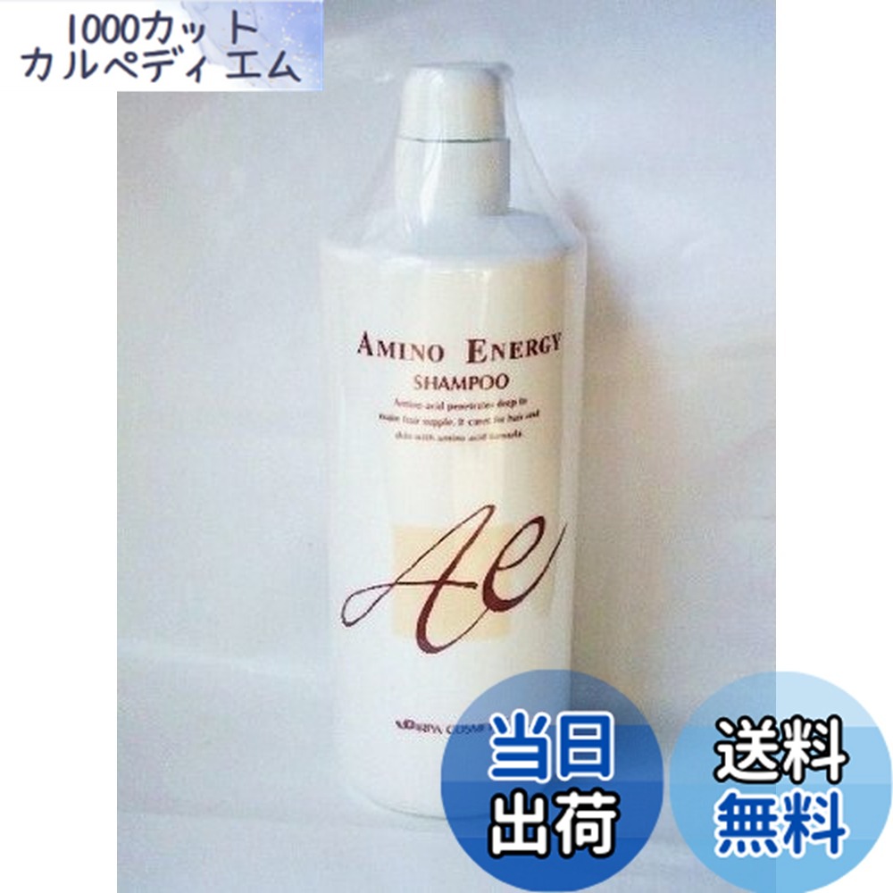 楽天市場】【12本セット】イリヤ アミノ エナジーシャンプー 1000ml×12