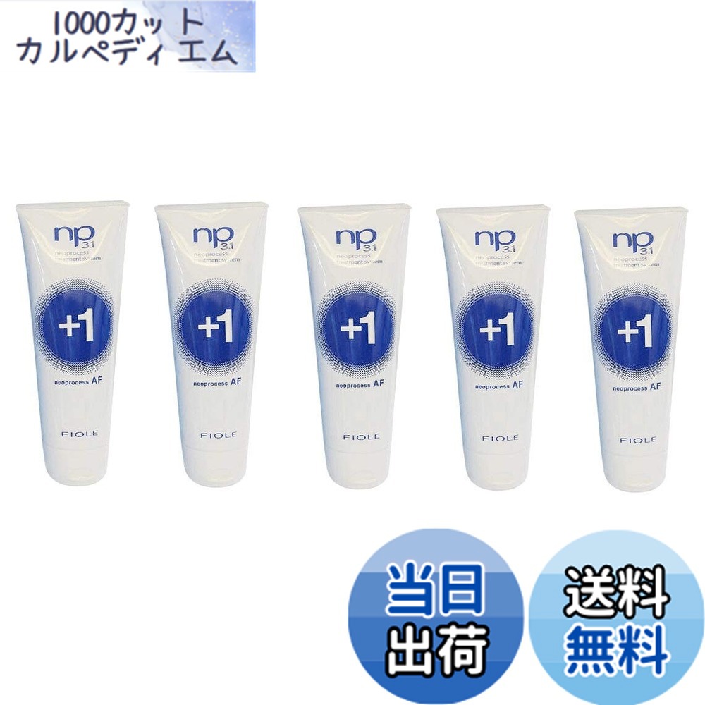 【貨物輸送無料】【X5個仕掛ける】 フィヨーレ NP3.1 ネオ行き方 AF足し加える1 240g FIOLE ネオ行き方