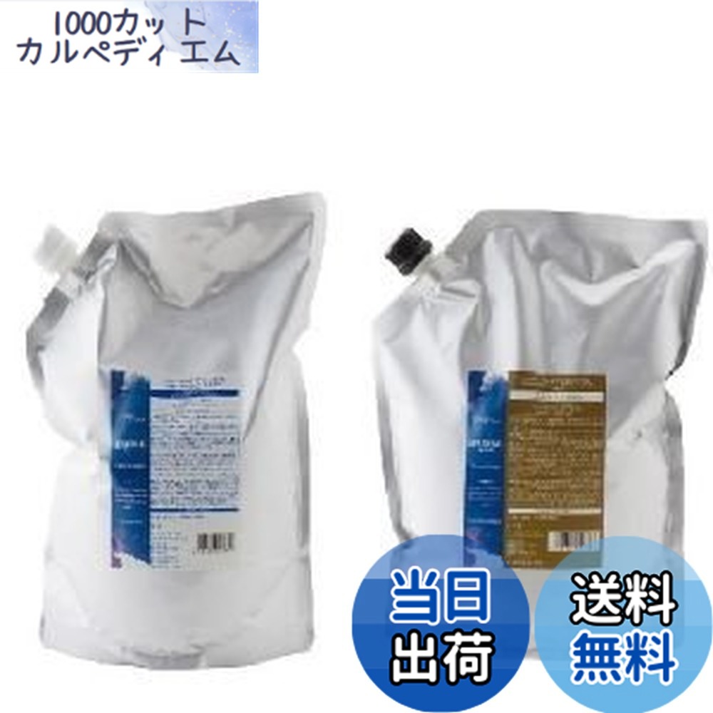 【送料無料】デミ ヘアシーズンズ アロマシロップス フローズンムーン シャンプー2000ｍｌ & トリートメント2000ｇ セット サイズ：2個アソート｜1000カットカルペディエム