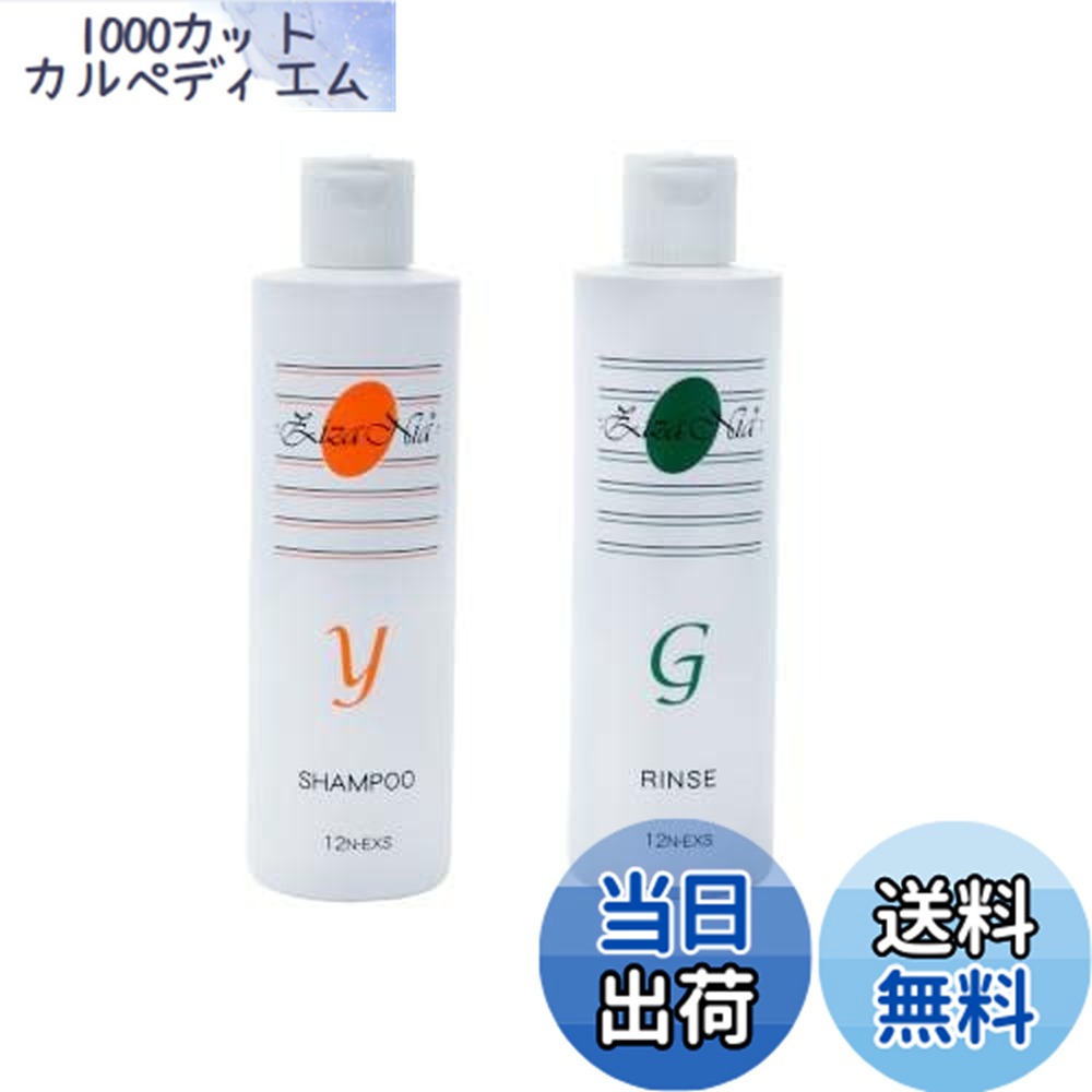 楽天市場】Z/∀ shampoo(ザ・シャンプー) シオン アグリゲート