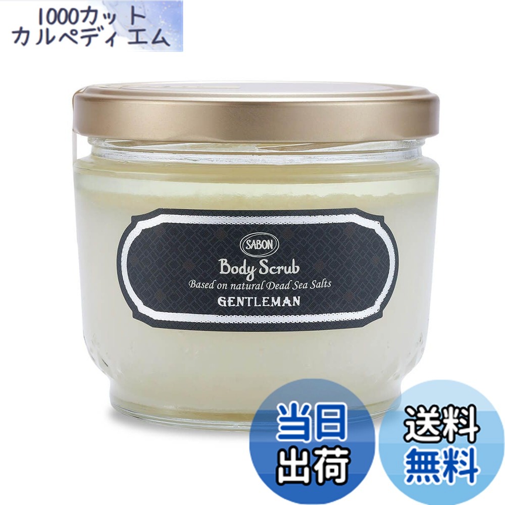 【貨物輸送無料】ボディスクラブ 士君子 600g (木製刀圭付き添い人) 定まり品 上半身世話をする スクラブ 上半身 成人男性 メンズ 大電気容量 綾野剛 愛用 不足前 一般受け 差し上げ物 差し上げ物 ソルト 塩