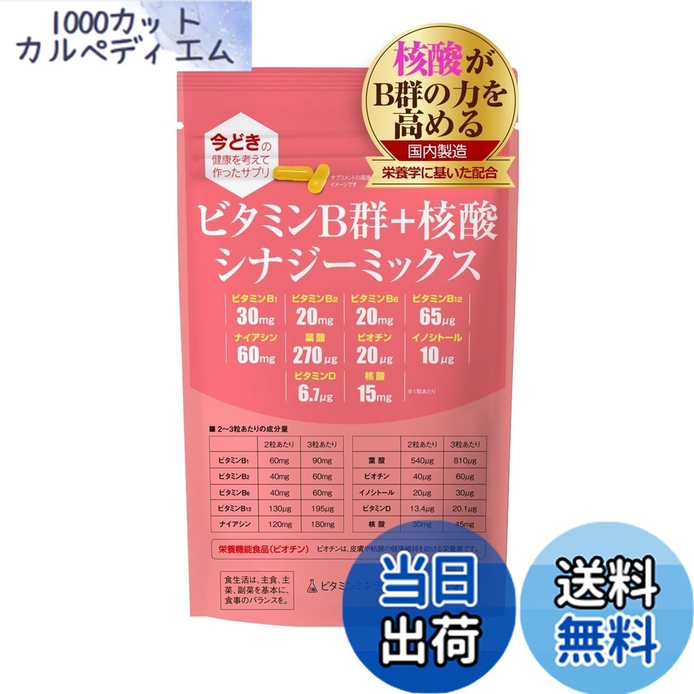 【送料無料】ビタミンB群+核酸 シナジーミックス サイズ：1袋