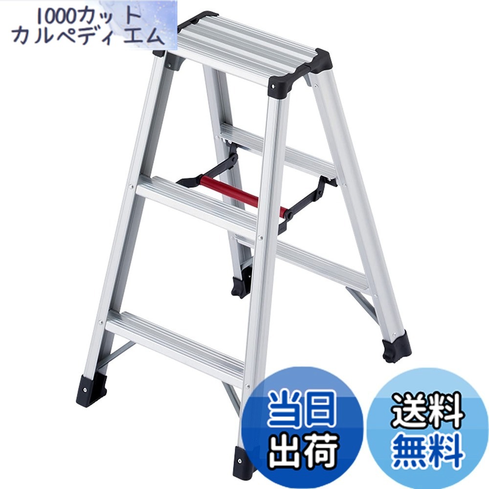 【送料無料】長谷川工業(Hasegawa) 専用脚立 脚軽 3段 RZ-09c (0.79m) (17755)【2020年モデル】｜1000カットカルペディエム