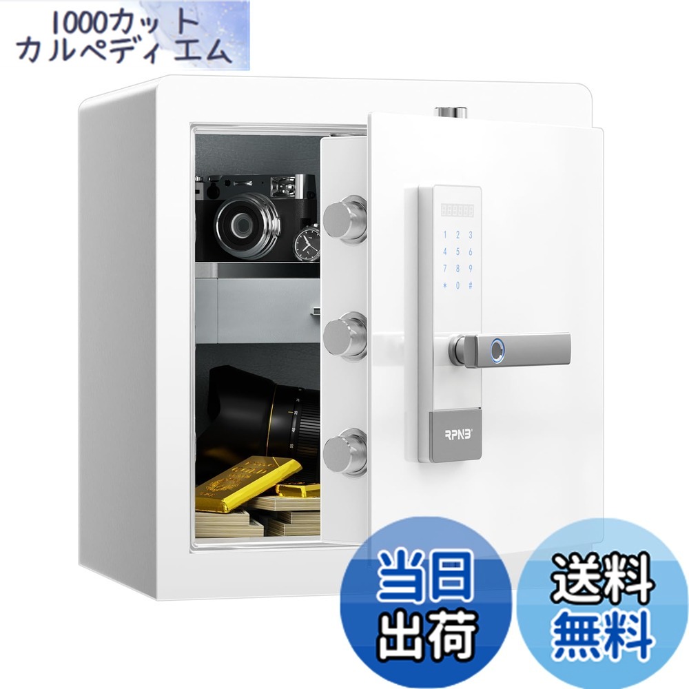 【貨物輸送無料】RPNB 御金蔵 防犯御金蔵 庫入れ庫 かっこ良い手当たり映写幕物音見せびらかすセーフ 二重言いきかせる 室内装飾の貴石抽き出し まさかの時手当たり2本 身寄り用 事務室 旅人宿 45L 白いこと